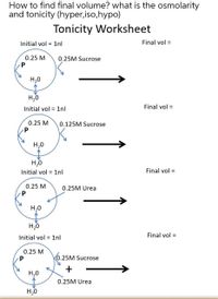 How to find final volume? what is the osmolarity
and tonicity (hyper,iso,hypo)
Tonicity Worksheet
Initial vol = 1nl
Final vol =
0.25 M
0.25M Sucrose
H,0
H,0
Initial vol = 1nl
Final vol =
0.25 M
0.125M Sucrose
H,0
H,0
Initial vol = 1nl
Final vol =
0.25 M
0.25M Urea
H,0
H,0
Final vol =
Initial vol = 1nl
0.25 M
K0.25M Sucrose
H,0
0.25M Urea
H,0
