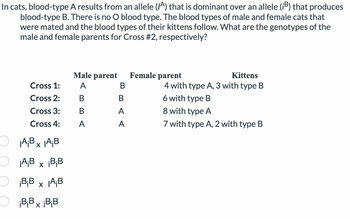 Understanding Blood Type Results