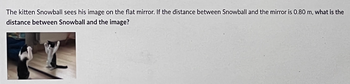 The kitten Snowball sees his image on the flat mirror. If the distance between Snowball and the mirror is 0.80 m, what is the
distance between Snowball and the image?