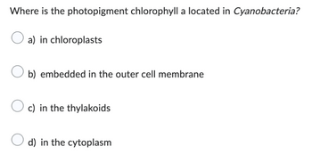 Where is the photopigment chlorophyll a located in Cyanobacteria?
a) in chloroplasts
b) embedded in the outer cell membrane
c) in the thylakoids
d) in the cytoplasm