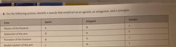 8. For the following actions, identify a muscle that would act as an agonist, an antagonist, and a synergist.
Action
Flexion of the forearm
Abduction of the arm
Pronation of the forearm
Medial rotation of the arm
Agonist
a.
d.
g.
j.
Antagonist
b.
e.
h.
k.
Synergist
C.
f.
i.
1.