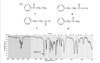 *(d)
-Ĉ-CH2-CH3
CH2-CH2-C-0-H
A
В
-CH2-CH2-Ç-H
-CH2-C-CH3
C
D
MICRONS
10025
10
11
12
13
14 15
16
19
25
06
LV
80
70
60
50
40
30
1688 cm
20
10
4000
3600
3200
2800
2400
1400
WAVENUMBERS (CM-1)
2000
1800
1600
1200
1000
800
600
400
% TRANSMITTANCE
