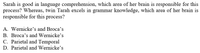 Sarah is good in language comprehension, which area of her brain is responsible for this
process? Whereas, twin Tarah excels in grammar knowledge, which area of her brain is
responsible for this process?
A. Wernicke's and Broca's
B. Broca's and Wernicke's
C. Parietal and Temporal
D. Parietal and Wernicke's
