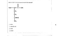 Which is NOT a functional group found in this molecule?
H2N -CH -C-
CH2
CH2
NH2
amine
Earbexylie acid
amide
e aleekel
