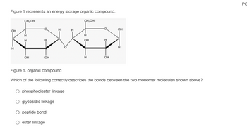 ### Figure 1: Energy Storage Organic Compound

The image above shows a structural representation of two monosaccharide units linked together. These hexagonal structures depict the ring forms of the monosaccharides, commonly seen in carbohydrates like glucose.

**Diagram Explanation:**
- The two hexagons represent sugar molecules, indicating a carbohydrate structure.
- Each hexagon consists of carbon atoms at each vertex, typically with attached hydrogen (H) and hydroxyl (OH) groups.
- The bonding between the two sugar units appears to be an oxygen bridge, characteristic of glycosidic linkages.

### Question

Which of the following correctly describes the bonds between the two monomer molecules shown above?

- ○ phosphodiester linkage
- ○ glycosidic linkage
- ○ peptide bond
- ○ ester linkage

Answer: **Glycosidic linkage** - This bond type is typical for connecting sugar molecules in carbohydrates.