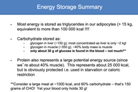 Energy Storage Summary
Most energy is stored as triglycerides in our adipocytes (> 15 kg,
equivalent to more than 100 000 kcal !!!!
Carbohydrate stored as:
glycogen in liver (~150 g); most concentrated as liver is only ~2 kg!
glycogen in muscle (~350 g); ~40% body mass is muscle
only about 30 g of glucose is found in the blood – not much!**
Protein also represents a large potential energy source (since
we' re about 40% muscle). This represents about 25 000 kcal,
but is obviously protected i.e. used in starvation or caloric
restriction
**
Consider a large meal at ~1000 kcal, and 60% carbohydrate – that's 150
grams of CHO! Yet your blood only holds 30 g!
