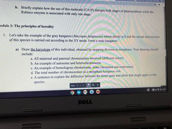 *
b. Briefly explain how the use of this molecule (CA1P) disrupts both stages of photosynthesis while the
Rubisco enzyme is associated with only one stage.
Codule 3: The principles of heredity
1. Let's take the example of the gray kangaroo (Macropus fuliginosus) whose ploidy is 8 and the sexual determinism
of this species is carried out according to the XY mode. From a male kangaroo:
a) Draw the karyotype of this individual, obtained by stopping division at metaphase. Your drawing should
include:
a. All maternal and paternal chromosomes involved (different colors)
b. An example of autosome and heterochromosome
c. An example of homologous chromosome, sister chromatid and centromere.
d. The total number of chromosomes in a metaphase kangaroo cell.
e. A sentence to explain the difference between the terms gene and allele that might apply to this
species.
Page 3/4
Sh Q +
9 CA 9 0 11:57
M
DELL