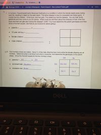 Classes
Grades
Bp Schedule
0A Biology 2020-. Jocelyn Velazquez - Kami Export - Sex Linked Traits.pdf
91%
7. In humans, Pseudohypertrophic Muscular Dystrophy is a condition in which the nerves waste away during
early life, resulting in death by the early teens. This lethal disease is due to a recessive sex-linked gene. A
couple has five children - three boys, and two girls. The oldest boy has the disease. You are their family
geneticist and they come to you for advice. What could you tell them about the chances of their other two
boys and their two girls also having this disease? (HINT: You must detemine the parent genotypes and then
show a Punnett square. Use that as your source for advice giving.)
parents =
10 year old boy =
female children
male children
H 8. Two hornless sheep are mat
homless. Determine what is dominant and what is recessive, and determine the genotypes of the parent
About ½ of the male offspring have horns while the female offspring are all
sheep. Show the Punnett square for the two hornless sheep.
XH
Xh
parents =_XY
XX
dominant trait Hormless
XH
ХН, ХН
XH,Xh
recessive trait Horns
Y
XH, Y
Xh,Y
DELL
24
&
4
%#3
