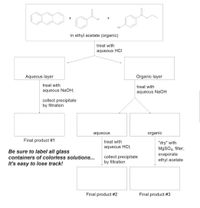 +
+
HN
in ethyl acetate (organic)
treat with
aqueous HCI
Aqueous layer
Organic layer
treat with
treat with
aqueous NaOH;
aqueous NaOH
collect precipitate
by filtration
aqueous
organic
Final product #1
treat with
"dry" with
MgSO4, filter,
evaporate
ethyl acetate
aqueous HCl;
Be sure to label all glass
containers of colorless solutions...
collect precipitate
by filtration
It's easy to lose track!
Final product #2
Final product #3
