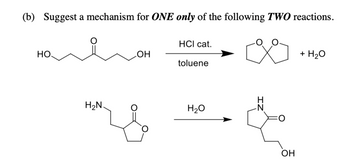 (b) Suggest a mechanism for ONE only of the following TWO reactions.
НО.
H₂N.
OH
HCI cat.
toluene
H₂O
N
OH
+ H₂O