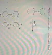 %3D
What are the predicted products for the reaction shown?
N.
H3O*
H
H.
II
NH.
