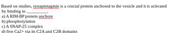 Based on studies, synaptotagmin is a crucial protein anchored to the vesicle and it is activated by binding to _________.
a) A RIM-BP protein anchor
b) phosphorylation
c) A SNAP-25 complex
d) five Ca2+ via its C2A and C2B domains