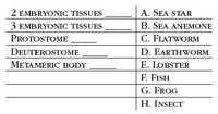 2 EMBRYONIC TISSUES
A. SEA STAR
B. SEA ANEMONE
C. FLATWORM
3 EMBRYONIC TISSUES
PROTOSTOME
DEUTEROSTOME
D. EARTHWORM
METAMERIC BODY
E. LOBSTER
F. FISH
G. FROG
H. INSECT
