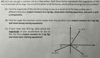 #2) Let's say you got a summer job as a dog walker. Each force below represents the magnitude of the
force from each of the dogs. You are at the center of all the forces, which will be the origin for this problem.
(A) Find the magnitude of the net force acting on you as a result of all the dogs pulling you in
different directions (report answers to 3 sig figs, show basic starting equations, and each x and
y component).
(B) Find the angle the resultant vector makes from the positive x-axis (report answers to 3 sig figs
and show basing staring equations).
(C) If your mass was 70.0 kg, what would the
magnitude of your acceleration be due to
this net force (report answers to 3 sig figs
and show basic starting equations)?
B = 40 N
y
A = 30 N
35°
*
25°
40°
C = 50 N
X