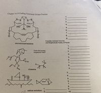 Chapter 14-19 Finding Functional Groups Practice
1.
2.
S-S
3.
4.
HO
HO.
5.
6.
7.
8.
9.
Possibly isolated from the
Jedi-Nightshade Family of Plants
stormtrooperessene
1.
2.
3.
From the knotty
Dogwood Tree?
HS
4.
5.
6.
S
H
7.
H-
8.
H H
9.
chasene
3.
4.
Но
N-
5.
H.
6.
7.
8.
1.
9.
saline solution
2.
10.
8.
o-Lo
