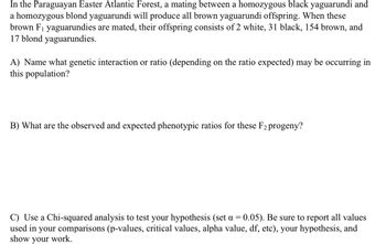 In the Paraguayan Easter Atlantic Forest, a mating between a homozygous black yaguarundi and
a homozygous blond yaguarundi will produce all brown yaguarundi offspring. When these
brown F₁ yaguarundies are mated, their offspring consists of 2 white, 31 black, 154 brown, and
17 blond yaguarundies.
A) Name what genetic interaction or ratio (depending on the ratio expected) may be occurring in
this population?
B) What are the observed and expec phenotypic ratios for these F2 progeny?
C) Use a Chi-squared analysis to test your hypothesis (set a = 0.05). Be sure to report all values
used in your comparisons (p-values, critical values, alpha value, df, etc), your hypothesis, and
show your work.