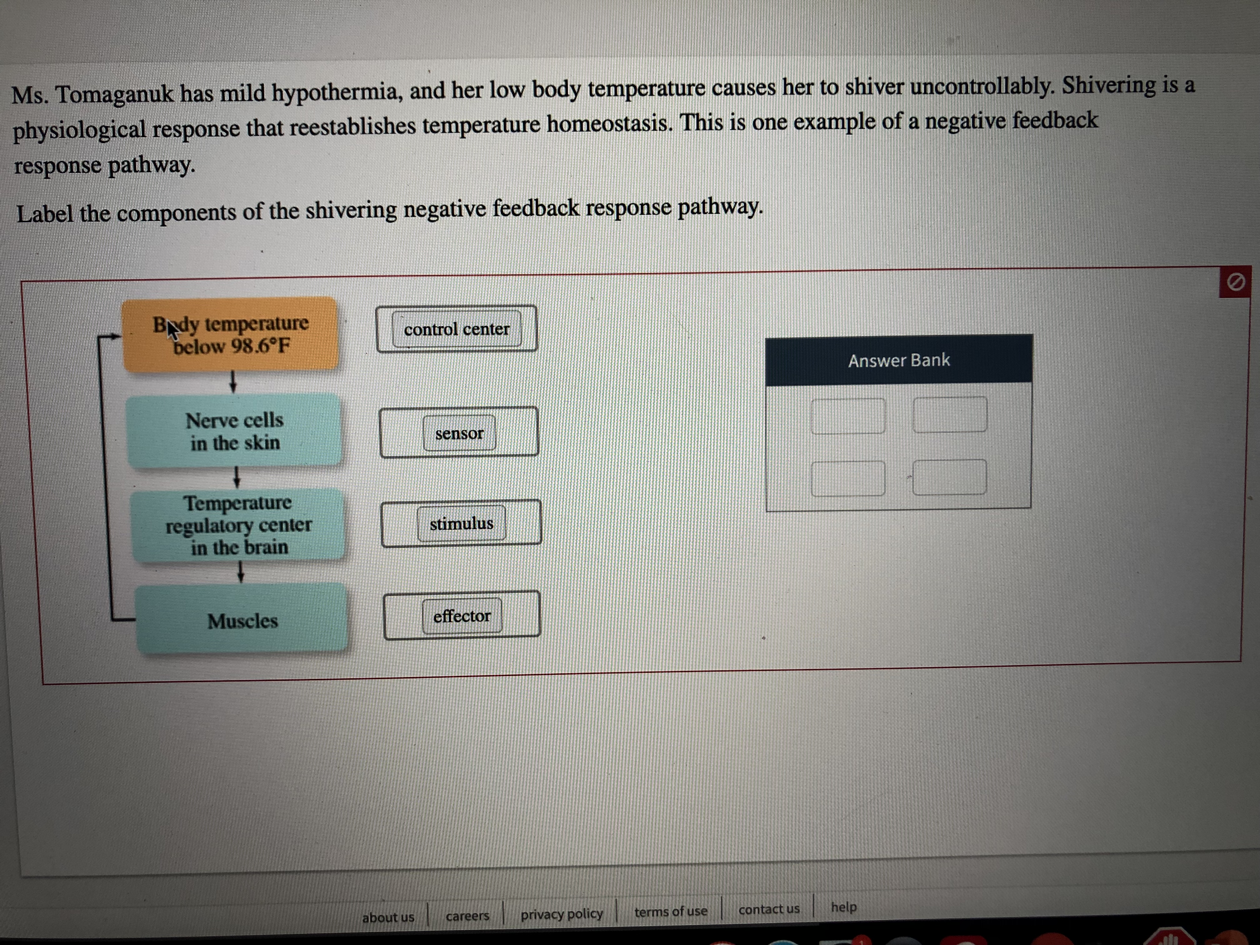 Ms. Tomaganuk has mild hypothermia, and her low body temperature causes her to shiver uncontrollably. Shivering is a
physiological response that reestablishes temperature homeostasis. This is one example of a negative feedback
response pathway.
Label the components of the shivering negative feedback response pathway.
Bady temperature
below 98.6°F
control center
Answer Bank
Nerve cells
in the skin
sensor
Temperature
regulatory center
in the brain
stimulus
effector
Muscles
help
contact us
terms of use
privacy policy
about us
careers
t
