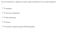 The soil nematode C. elegans has made a major contribution to our understanding of
a)
apoptosis
b) cell cycle checkpoints
c) DNA replication.
d) mitosis
e) G protein coupled receptor (GPCR) signalling.
