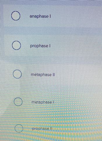 O
O
O
anaphase I
prophase l
metaphase II
metaphase I
prophase II