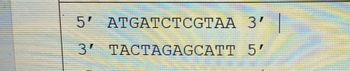 5' ATGATCTCGTAA 3'
3' TACTAGAGCATT
5'