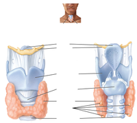 Answered: Anatomy And Physiology Question | Bartleby