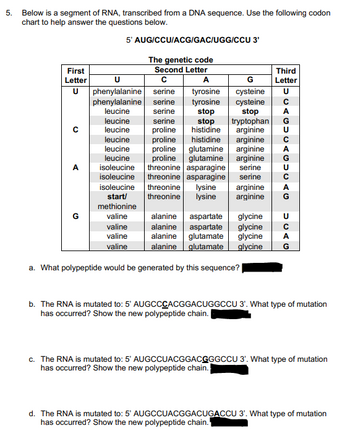 Answered: 5. Below Is A Segment Of RNA,… | Bartleby