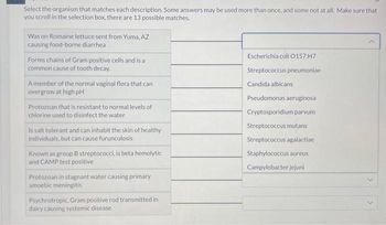 Select the organism that matches each description. Some answers may be used more than once, and some not at all. Make sure that
you scroll in the selection box, there are 13 possible matches.
Was on Romaine lettuce sent from Yuma, AZ
causing food-borne diarrhea
Forms chains of Gram positive cells and is a
common cause of tooth decay.
A member of the normal vaginal flora that can
overgrow at high pH
Protozoan that is resistant to normal levels of
chlorine used to disinfect the water
Is salt tolerant and can inhabit the skin of healthy
individuals, but can cause furunculosis
Known as group B streptococci, is beta hemolytic
and CAMP test positive
Protozoan in stagnant water causing primary
amoebic meningitis
Psychrotropic, Gram positive rod transmitted in
dairy causing systemic disease
Escherichia coli O157:H7
Streptococcus pneumoniae
Candida albicans
Pseudomonas aeruginosa
Cryptosporidium parvum
Streptococcus mutans
Streptococcus agalactiae
Staphylococcus aureus
Campylobacter jejuni
A