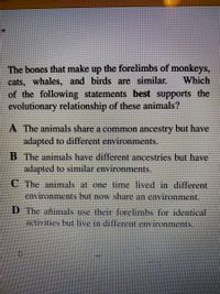 animals that possess homologous structures probably _____