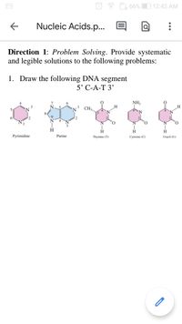 66%
12:42 AM
Nucleic Acids.p...
Direction 1: Problem Solving. Provide systematic
and legible solutions to the following problems:
1. Draw the following DNA segment
5' С-А-Т 3'
NH2
CH3
5
N
12
H
H
H
Pyrimidine
Purine
Thymine (T)
Cytosine (C)
Uracil (U)
