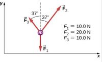 F2
37°i
37°
F, = 10.0 N
F2
20.0 N
F3 = 10.0 N
