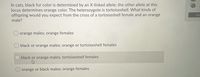 In cats, black fur color is determined by an X-linked allele; the other allele at this
locus determines orange color. The heterozygote is tortoiseshell. What kinds of
offspring would you expect from the cross of a tortoiseshell female and an orange
male?
Co
orange males; orange females
black or orange males; orange or tortoiseshell females
black or orange males; tortoiseshell females
orange or black males; orange females
