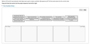 Before JCVI-syn3.0 was produced, what steps were used to create a synthetic Mycoplasma cell? Put the events below into the correct order.
Drag and drop the events into the proper sequence from left to right.
▸ View Available Hint(s)
First Step
Transformed cells are
detected by the presence
of lacz, which causes
them to cleave Xgal and
produce a blue color.
Yeast is transformed
using Mycoplasma mycoides
fragments.
The synthetic chromosome
is transformed into
Mycoplasma capricolum.
The synthetic
Mycoplasma mycoides
chromosome is purified.
DNA fragments
assemble through
homologous recombination
in yeast.
Reset Help
Last Step