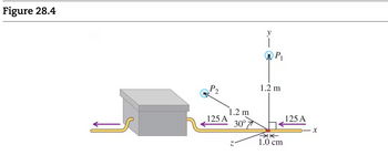 Figure 28.4
P2
125 A
1.2 m
30°7
y
|
P₁
1.2 m
业不
1.0 cm
125 A
X