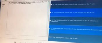 40/
50
As a rhome transcates along an mRNA molecule by one
codon, which of the following occurs?
A. The tRNA that was in the A site moves into the P site
B The IRNA that was in the P site moves into the A site
C. The tRNA that was in the A site moves to the E site and is
released
D The RNA that was in the A site departs from the ribosome via
tunnet
E The polypeptide enters the E site.