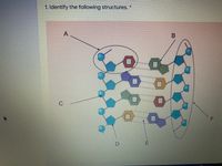 1. Identify the following structures. *
A
