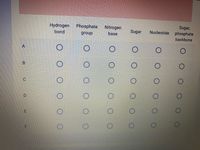 Sugar,
phosphate
Hydrogen
Phosphate
Nitrogen
Sugar
Nucleotide
bond
group
base
backbone
F
