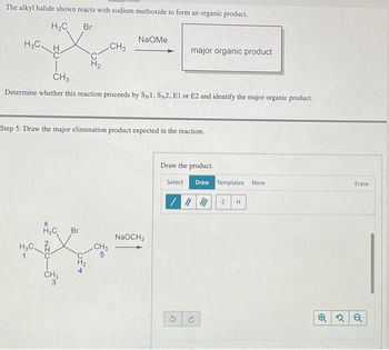 The alkyl halide shown reacts with sodium methoxide to form an organic product.
H₂C Br
H₂CH
H₂C.
H₂
CH3
Determine whether this reaction proceeds by SN1, SN2, E1 or E2 and identify the major organic product.
Br
X
CH3
Step 5: Draw the major elimination product expected in the reaction.
CH3
NaOMe
CH3
major organic product
NaOCH3
Draw the product.
Select Draw Templates More
////// C H
3 G
Erase
Q2 Q