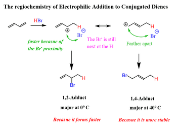 The regiochemistry of Electrophilic Addition to Conjugated Dienes
HBr
faster becasue of
the Br proximity
+
Br
O
Br
H
The Br is still
next ot the H
1,2-Adduct
major at 0°C
Becasue it forms faster
H
Br
Farther apart
Br
H
1,4-Adduct
major at 40° C
Becasue it is more stable