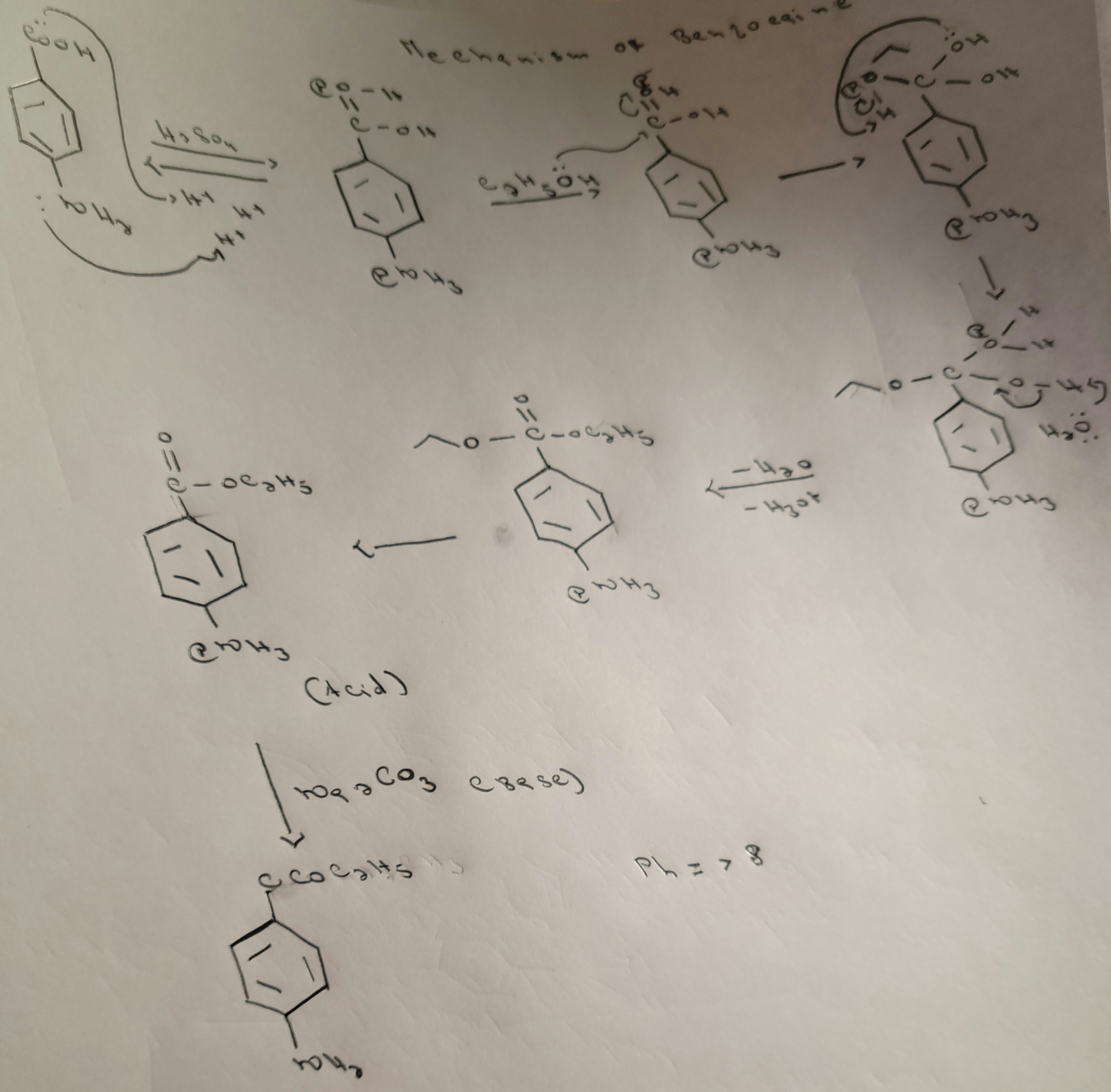 Сон
енс
Навои
0 =
ну
кау клуба
Енедо-а
сюно
- W
C-ow
Mechanis
єю Из
ло
--
то
(Acid)
сі
схат
енси
под нег
под з соз сведе)
с сосанд
O
8.
СРи
C-ov
сме
вет 20 едi
Енги
Я
рюиз
оен
-H₂ot
Ph=>8
А
УР
и
0
-ov
on
рюиз
Т
- 4
Со
отид
спад