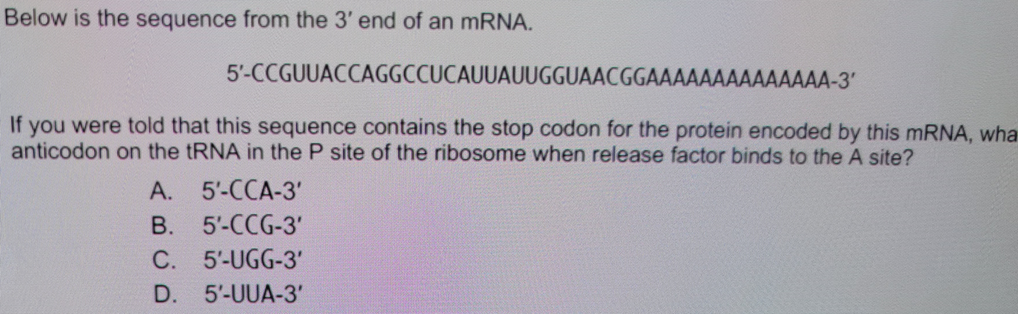 Below is the sequence from the 3' end of an mRNA.
5'-CCGUUACCAGGCCUCAUUAUUGGUAACGGAAAAAAAAAAAAAA-3'
If you were told that this sequence contains the stop codon for the protein encoded by this mRNA, wha
anticodon on the tRNA in the P site of the ribosome when release factor binds to the A site?
A. 5'-CCA-3'
B. 5'-CCG-3₁
C. 5'-UGG-3'
D. 5'-UUA-3'