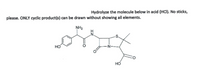 Hydrolyze the molecule below in acid (HCI). No sticks,
please. ONLY cyclic product(s) can be drawn without showing all elements.
NH2
HO
