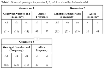 Table 1. Observed genotypic frequencies 1, 2, and 3 produced by the bead model
Generation 1
Generation 2
Genotypic Number and
(Frequency)
Aa
(11)
(12)
aa
Genotypic Number and
(Frequency)
Aa
(23)
(21) (18) 43
Generation 3
aa
Allelic
Frequency
(15)
A
Allelic
Frequency
A
57
47
a
53
Genotypic Number and
(Frequency)
Aa
AA
(15)
aa
(22) (13)
Allelic
Frequency
52
a
48