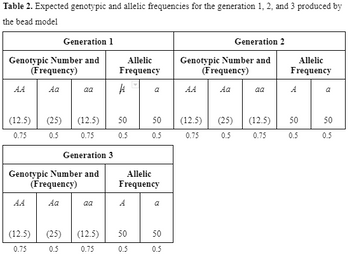 Table 2. Expected genotypic and allelic frequencies for the generation 1, 2, and 3 produced by
the bead model
Genotypic Number and
(Frequency)
Aa
AA
(12.5)
0.75
(25)
0.5
Generation 1
(12.5) (25)
0.75
0.5
aa
(12.5)
0.75
Generation 3
Genotypic Number and
(Frequency)
Aa
aa
(12.5)
0.75
Allelic
Frequency
JA
50
0.5
Allelic
Frequency
A
50
0.5
a
50
0.5
Generation 2
Genotypic Number and
(Frequency)
Aa
AA
50 (12.5) (25) (12.5)
0.5
0.75
0.5
0.75
aa
Allelic
Frequency
A
50
0.5
a
50
0.5
