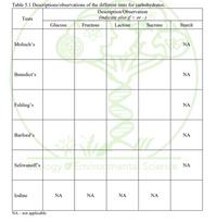 Table 5.1 Descriptions/observations of the different tests for carbohydrates.
Description/Observation
(indicate also if + or-)
Sucrose
Tests
Glucose
Fructose
Lactose
Starch
Molisch's
NA
Benedict's
NA
Fehling's
NA
Barfoed's
NA
Seliwanoff'sogy Envirormenta Sciende NA
Iodine
NA
NA
NA
NA
NA - not applicable
