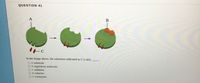 QUESTION 41
A
B
In the image above, the substance indicated as C is a(n)
O a. substrate
O b.regulatory molecule
O C. inhibitor
O d. cofactor
O e.coenzyme
