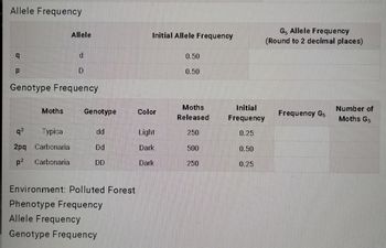 Allele Frequency
q
Р
Moths
Allele
q²
Typica
2pq Carbonaria
p² Carbonaria
d
Genotype Frequency
D
Genotype
dd
Dd
DD
Environment: Polluted Forest
Phenotype Frequency
Allele Frequency
Genotype Frequency
Initial Allele Frequency
Color
Light
Dark
Dark
0.50
0.50
Moths
Released
250
500
250
Initial
Frequency
0.25
0.50
0.25
G, Allele Frequency
(Round to 2 decimal places)
Frequency G5
Number of
Moths G5