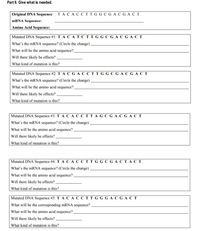 Part II. Give what is needed.
|Original DNA Sequence: TACACCT T G G C G A C G A C T
MRNA Sequence:
| Amino Acid Sequence:
Mutated DNA Sequence #1: T A C A T C T T G G C GAC GA C T
What's the mRNA sequence? (Circle the change)
What will be the amino acid sequence? .
Will there likely be effects?.
What kind of mutation is this?
Mutated DNA Sequence #2: T A C G AC C T T G G C G A C G AC T
What's the mRNA sequence? (Circle the change)
What will be the amino acid sequence?.
Will there likely be effects?.
What kind of mutation is this?
Mutated DNA Sequence #3: T A C A C C T T A G C GAC GA C T
What's the mRNA sequence? (Circle the change).
What will be the amino acid sequence?.
Will there likely be effects?
| What kind of mutation is this?
Mutated DNA Sequence #4: T A C A C C T T G G C GACTAC T
What's the mRNA sequence? (Circle the change),
What will be the amino acid sequence?.
Will there likely be effects? -
What kind of mutation is this?
Mutated DNA Sequence #5: T A C A C C T T G G G A C GAC T
What will be the corresponding mRNA sequence?
What will be the amino acid sequence?
Will there likely be effects?
What kind of mutation is this?
