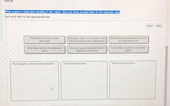Part B
When a gene is duplicated resulting in two copies, there are three possible fates for the duplicate copy
Sort each item to the appropriate bin.
Potential to generate a new
phenotype
Most likely outcome for duplicated
genes
Pseudogene (Nonfunctionalization)
4
Both gene copies are required to carry
out the functions of the original gene
One gene copy is inactivated due to
deleterious mutations
Subfunctionalization
Most interesting evolutionary outcome
for duplicated genes
Least likely outcome for duplicated
genes
Reset Help
Neofunctionalization