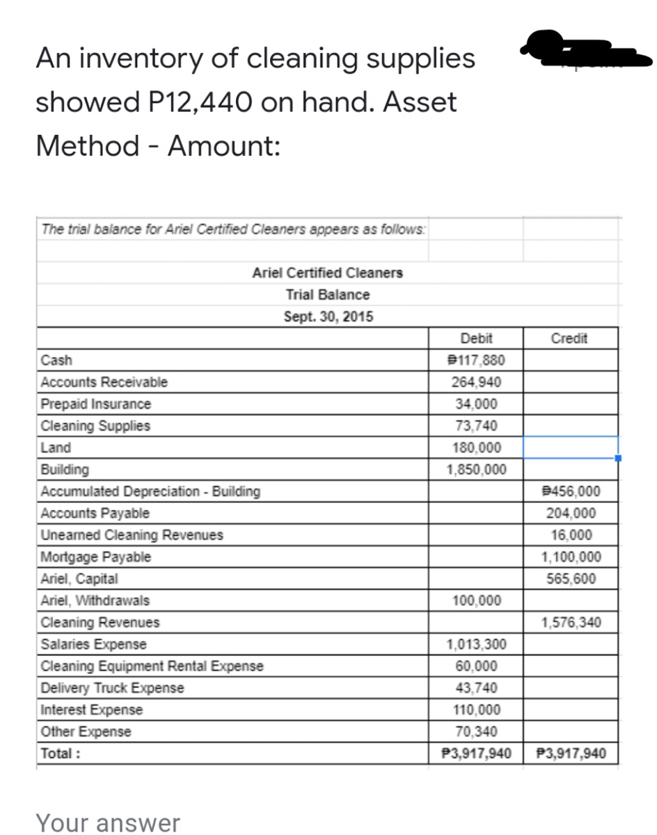 Cleaning accessories  Trial Market - comprehensive supply of business