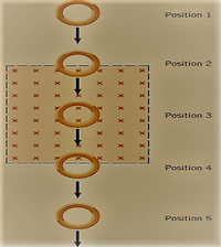 Position 1
Position 2
Position 3
Position 4
Position 5
0-
0-0
x x x X X x x X
